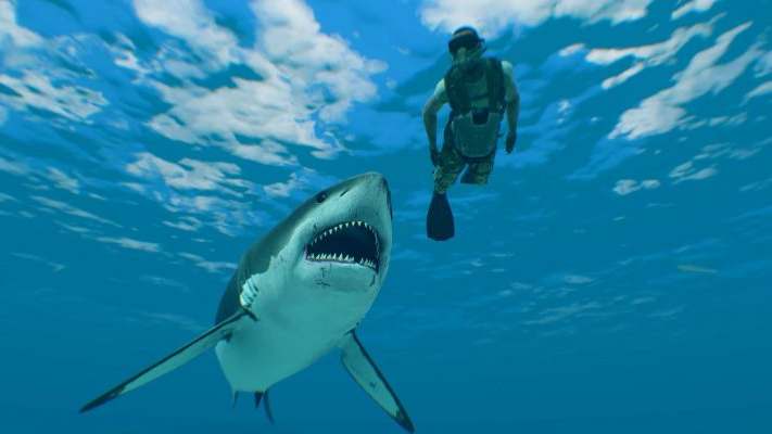 Как выбрать пляж и не попасться в зубы: акулья угроза