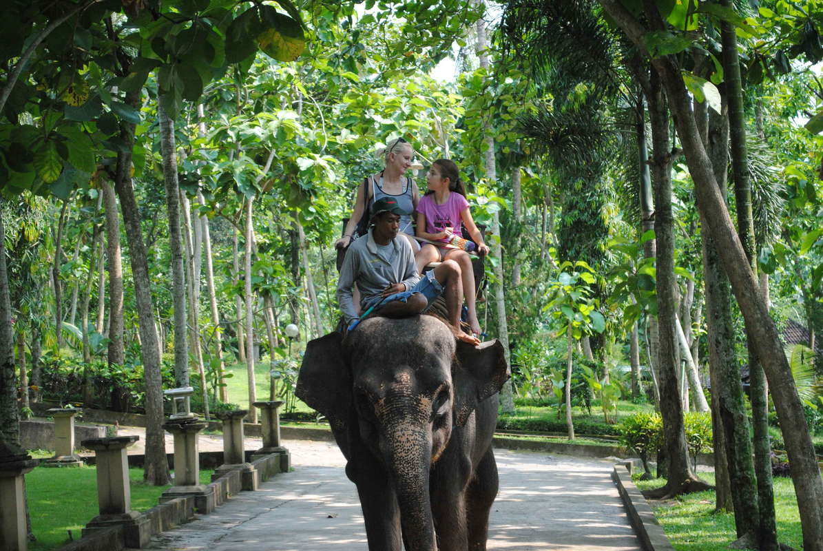 Парк слонов на Бали. Три человека едут верхом на слоне.