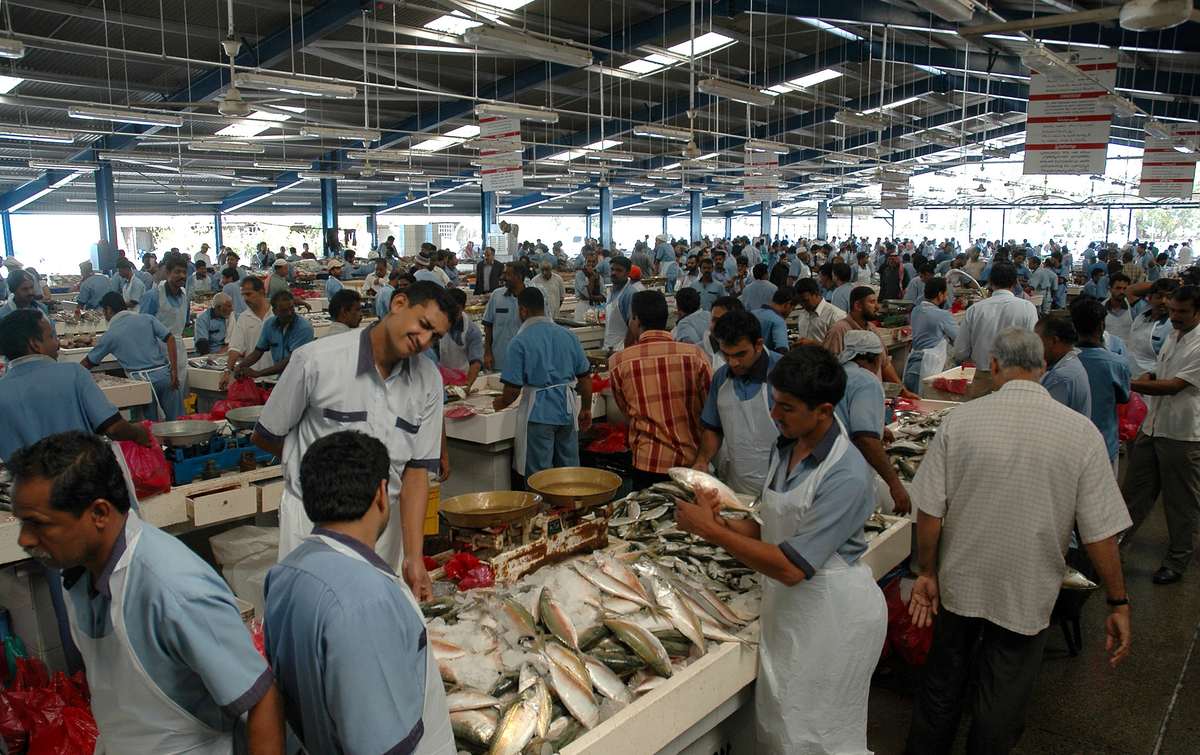 Рынок рыбы и специй Дейра, Дубаи, 3