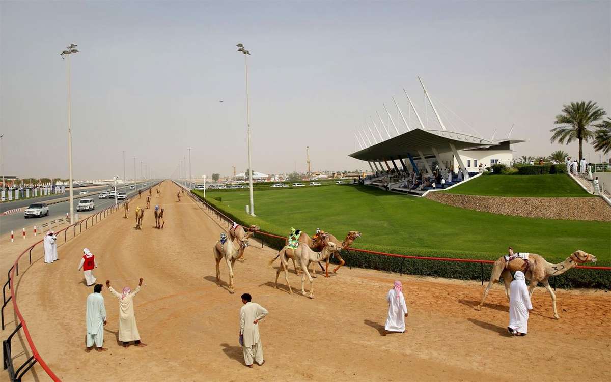 Верблюжья гоночная трасса Al Marmoom Camel Racetrack, 1