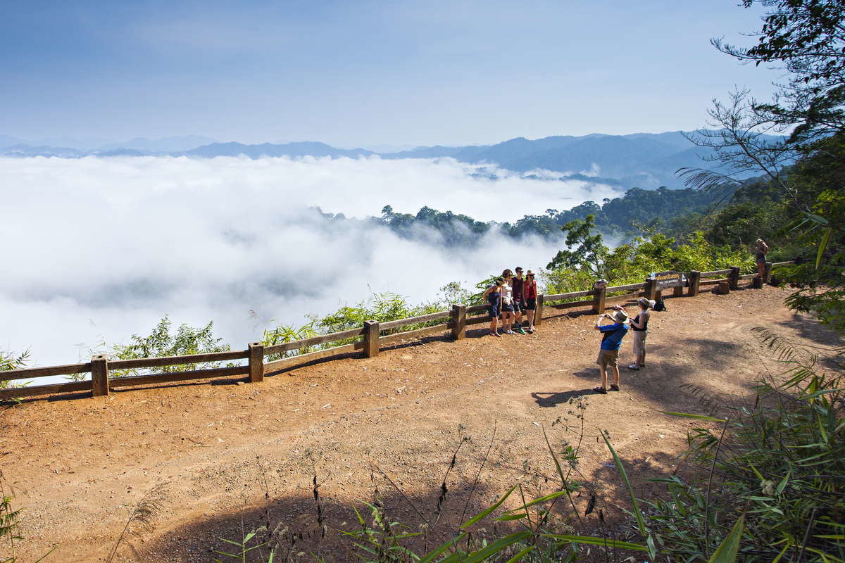 Туман над деревьями в Национальном парке Каенг Крачан, Таиланд, 3