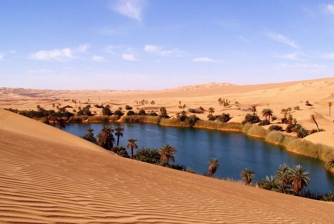 Оазис в пустыне Сахара в Африке