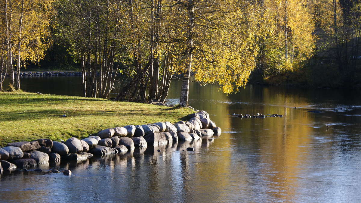 Река Акерсельва в Осло, 4