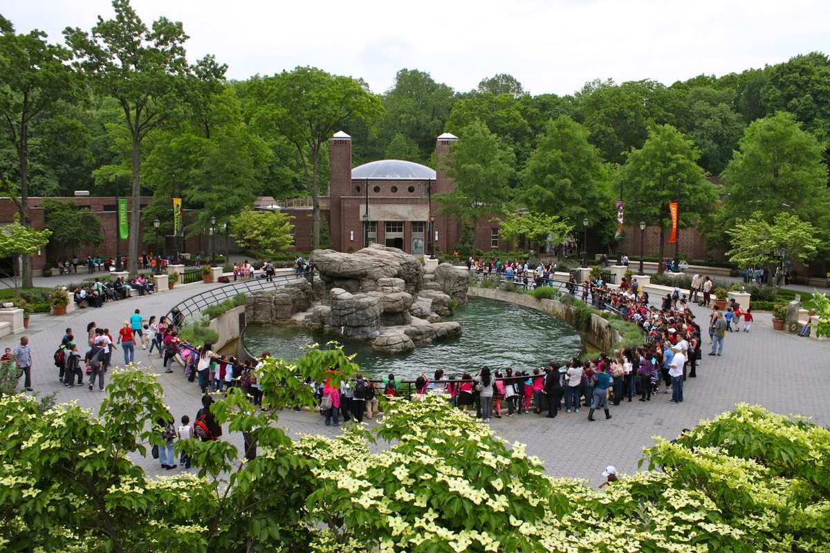 Зоопарк Prospect Park Zoo в Нью-Йорке