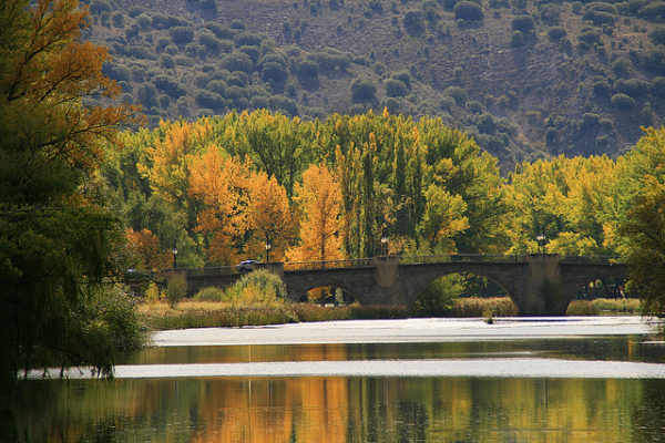 Осенний смешанный лес и мост Сория, Испания