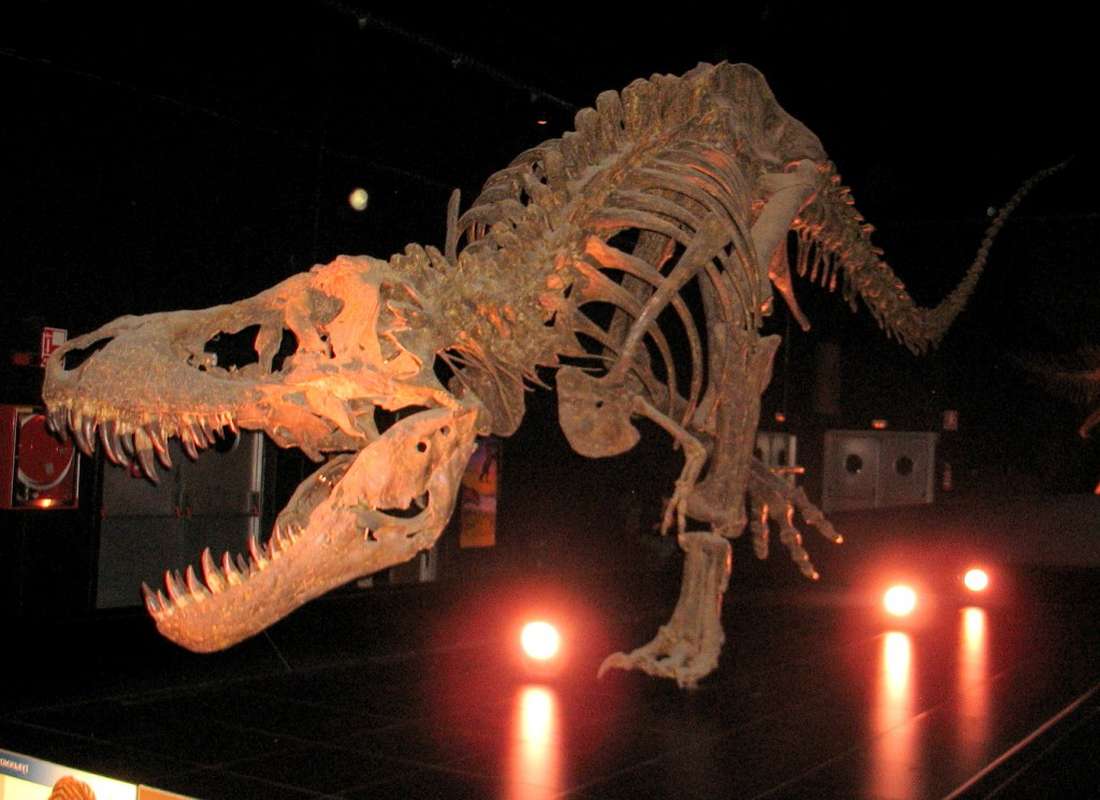 Динополис Теруэль Испания тираннозавр рэкс
