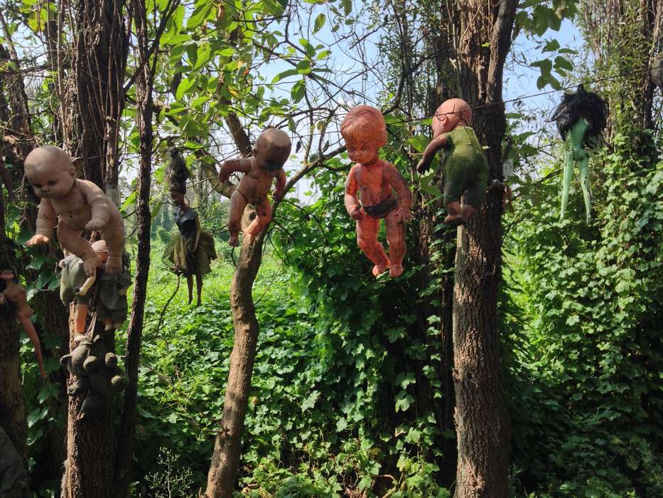 Остров мертвых кукол в Мексике