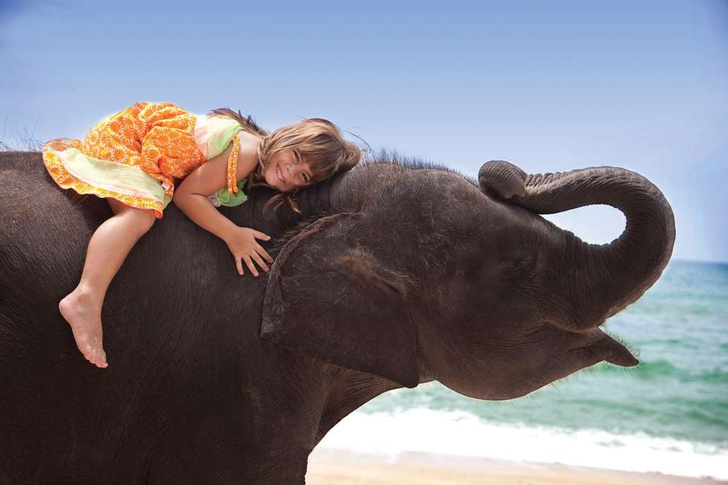 Фотосессия девочки со слоном на Пхукете