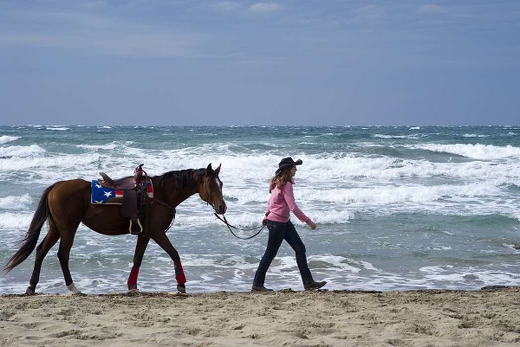 Женщина с лошадью на пляже в Италии в октябре