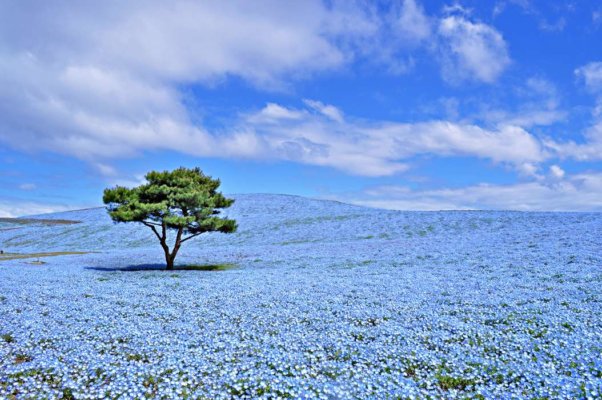 25 туристических мест в Японии: удивительные пейзажи