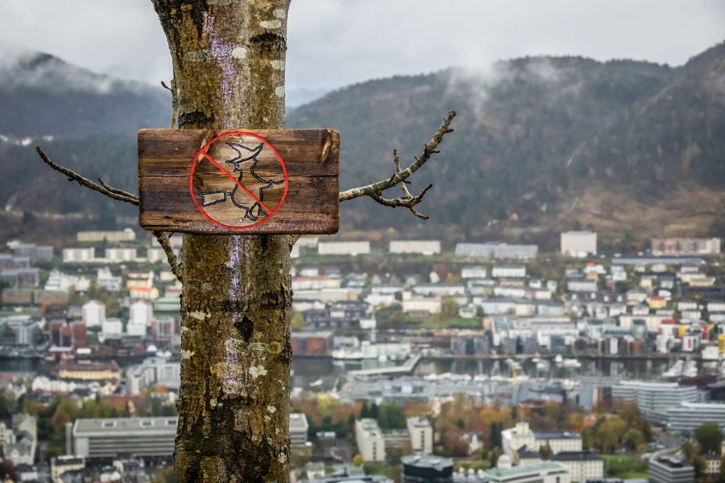 Норвегия рождественская традиция прятать метлу