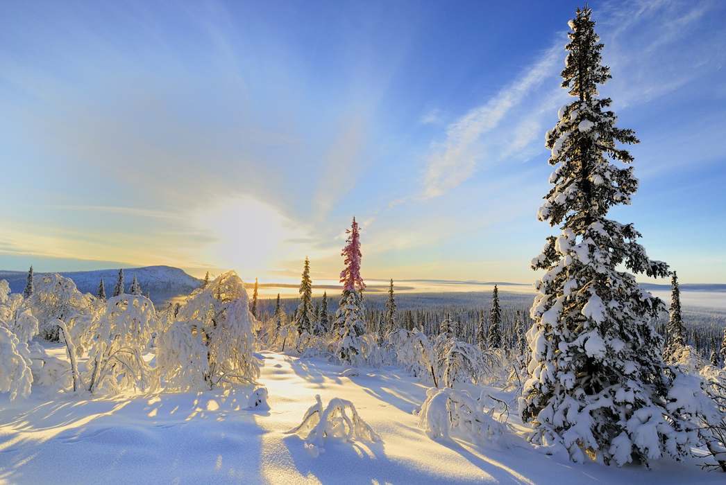 Шведская Лапландия зимой