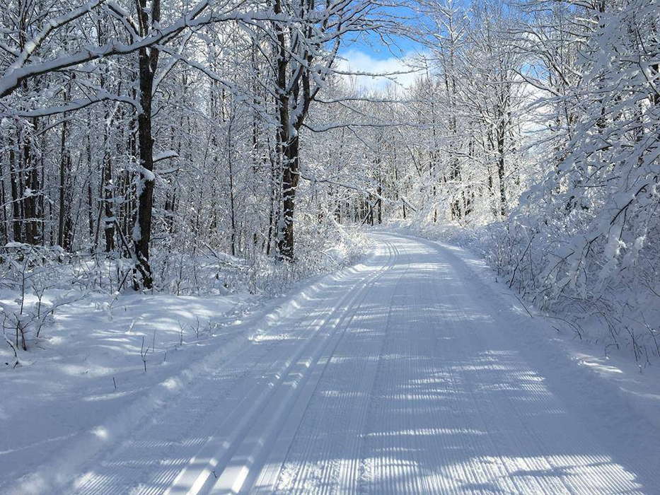 дорога в снежном лесу зимой лыжная трасса