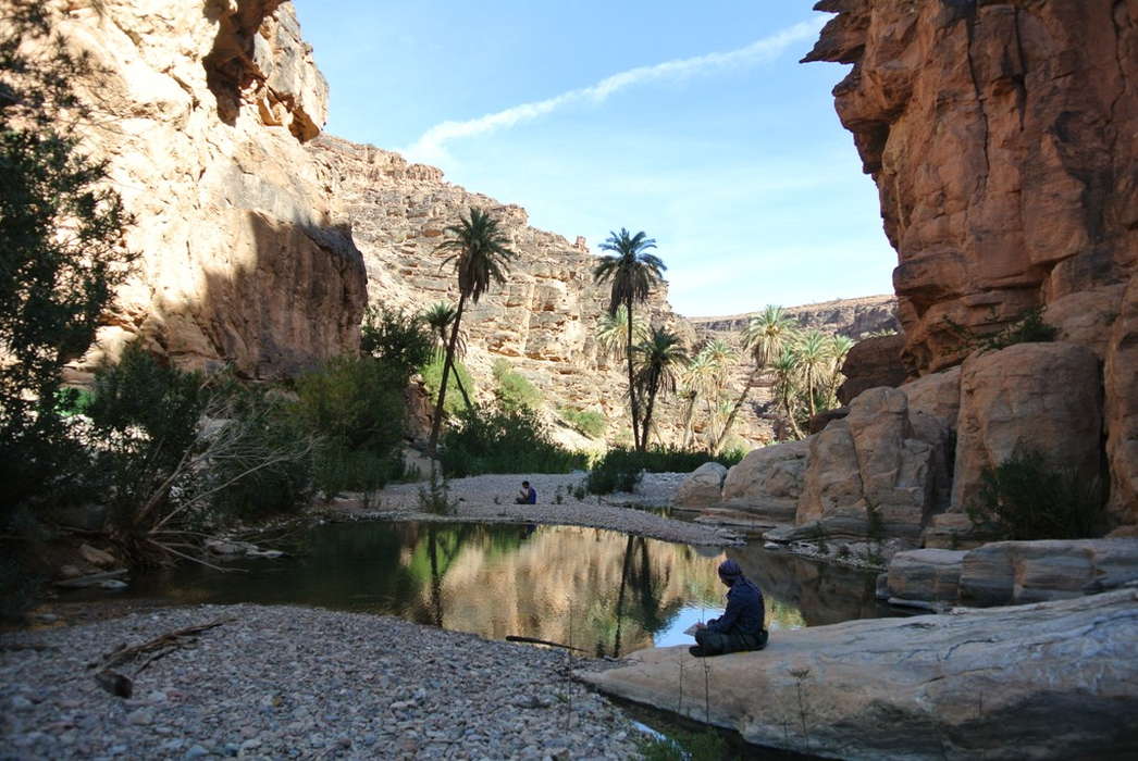 национальный парк сус-масса марокко (3)