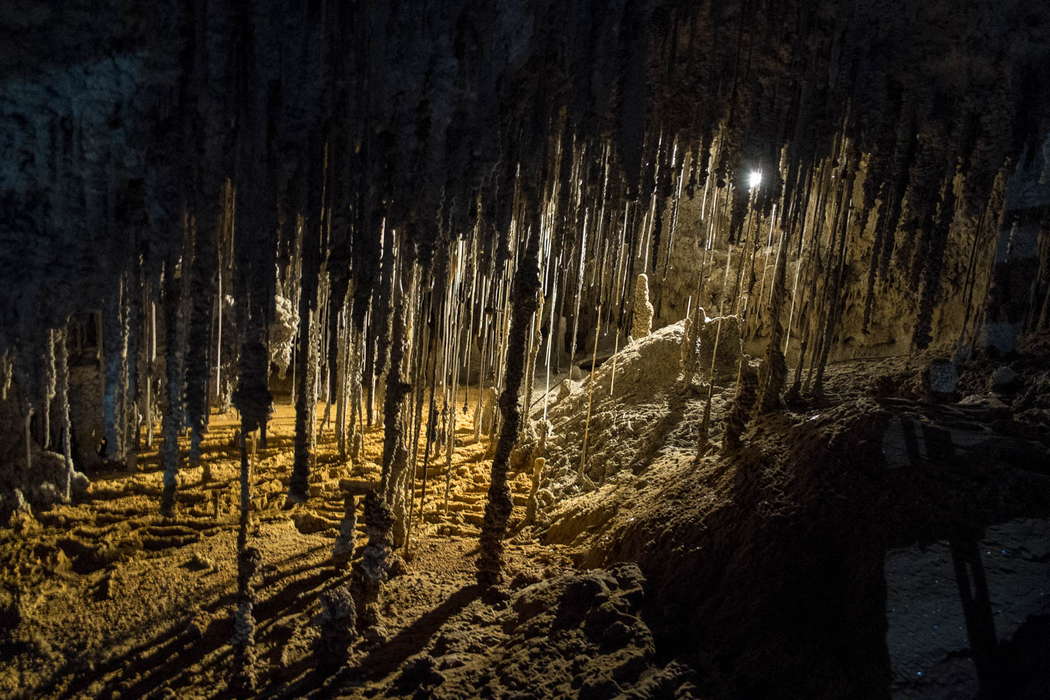 пещеры Мол-Крик сталактиты Тасмания Австралия