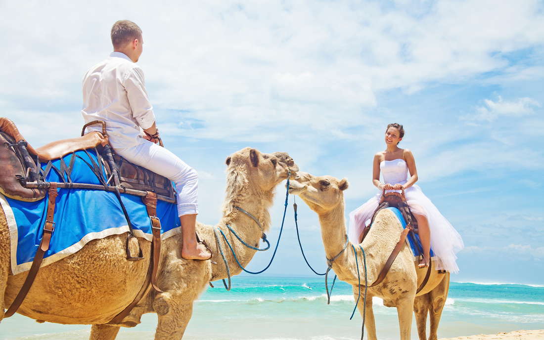 свадебное путешествие в Египте на верблюдах