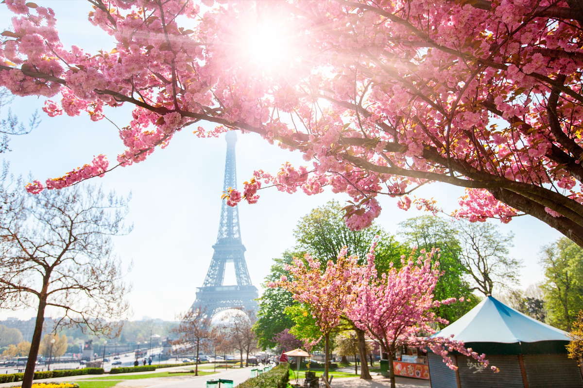 эйфелева башня с цветущими деревьями париж-new