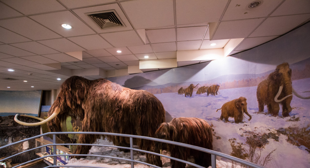 Музей мамонта Якутск