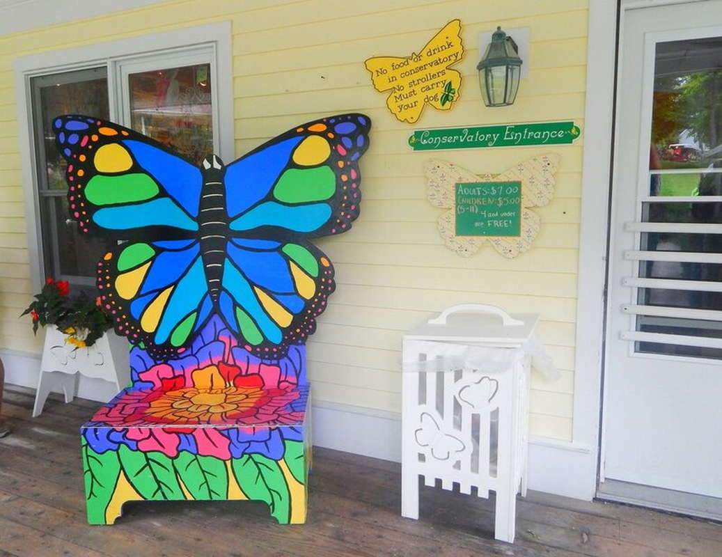 дом музей бабочек на острове Макино