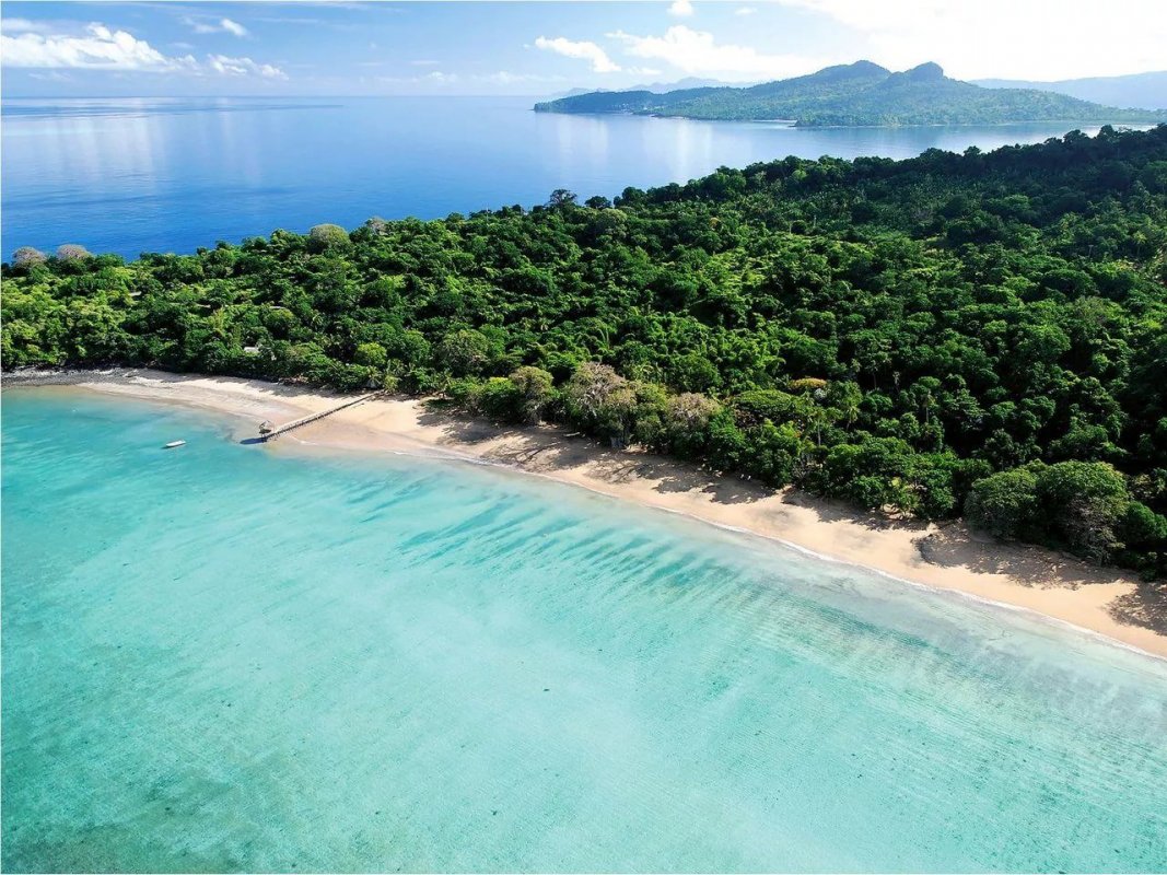 Коморские Острова пляж лес