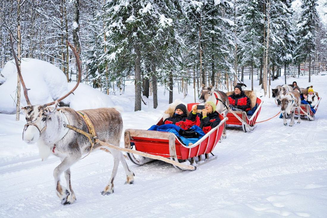 зимние сани в оленьей упряжке Финляндия зимой