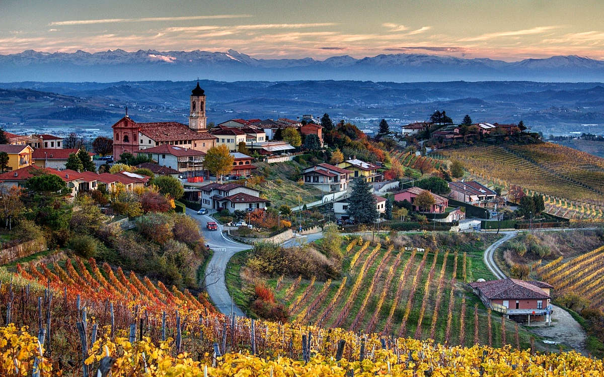 Виноградники Пьемонта в Италии