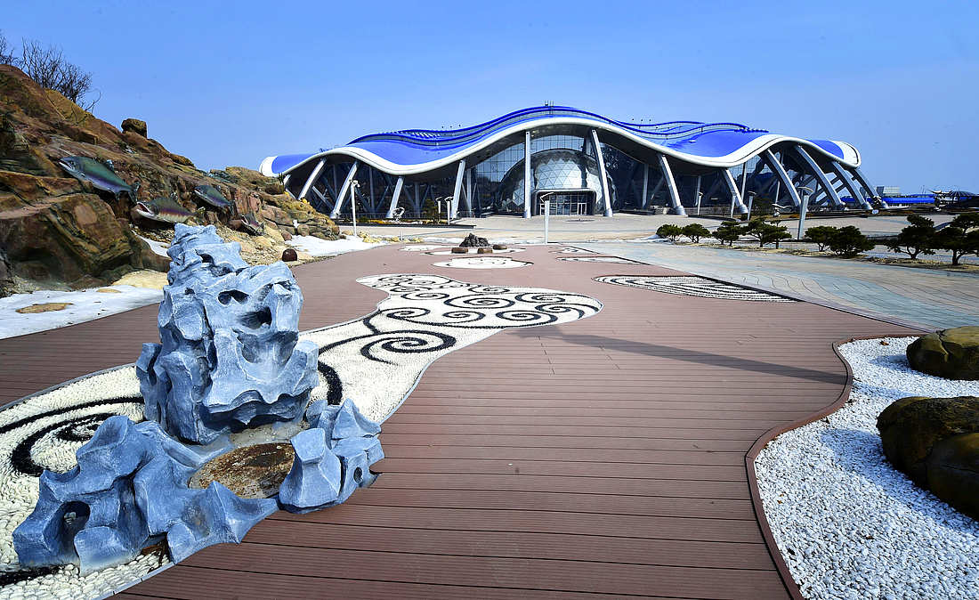здание приморского океанариума Владивосток фото