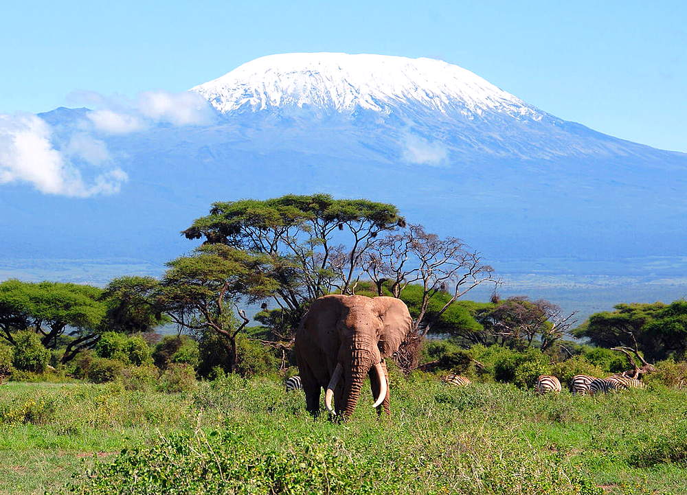 Килиманджаро вулкан Африка