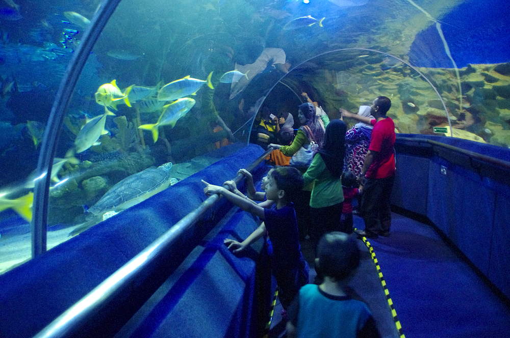 Куала-Лумпурский океанариум